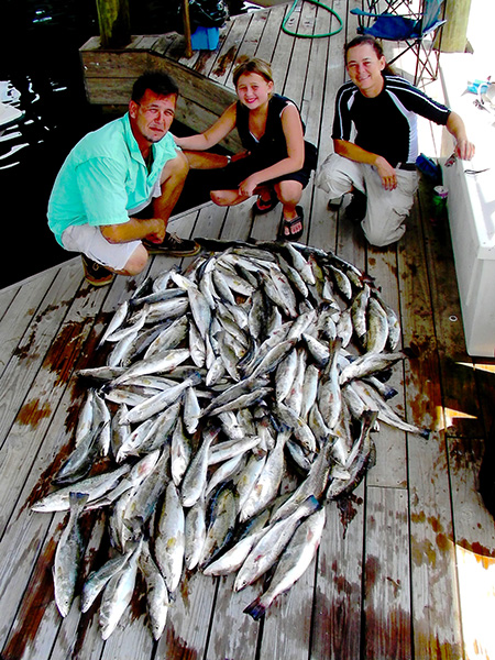 100 speckled trout