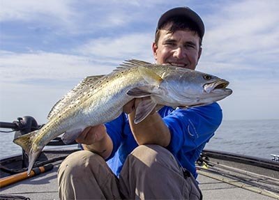Ultimate Speckled Trout Fact Sheet (Updated 2024)