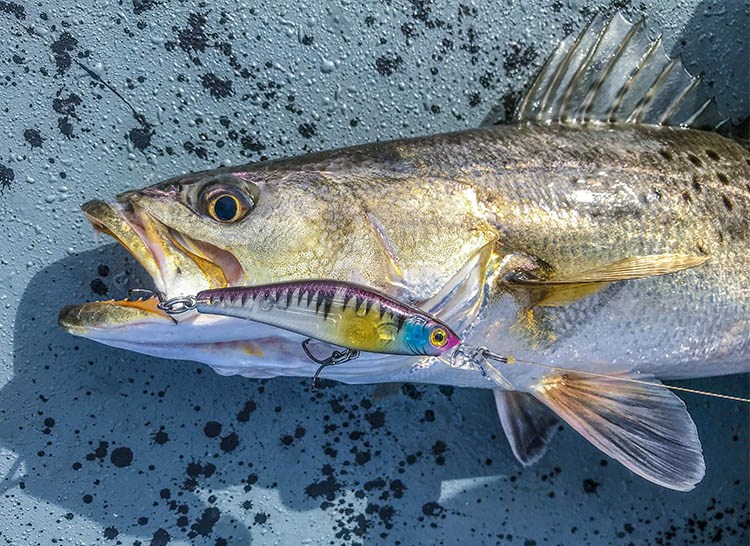 Inshore Fishing 201 - Louisiana Fishing Blog