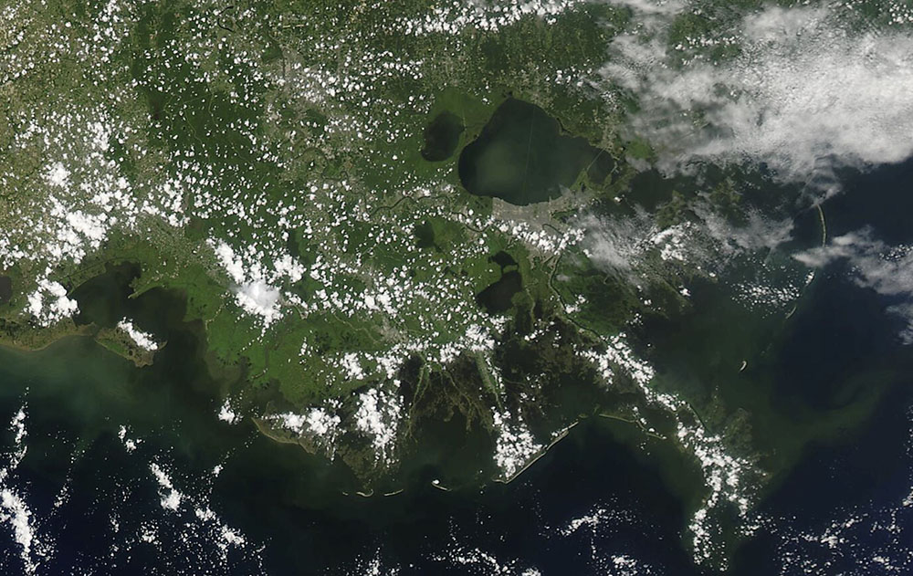 Louisiana coast on daily satellite image