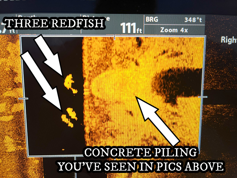 power line Redfish on MEGA Imaging Humminbird Sonar