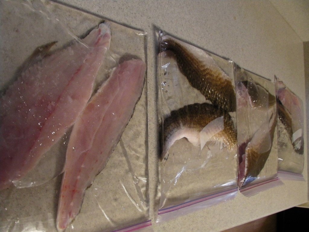 How I Like to Freeze My Fish Fillets Louisiana Fishing Blog