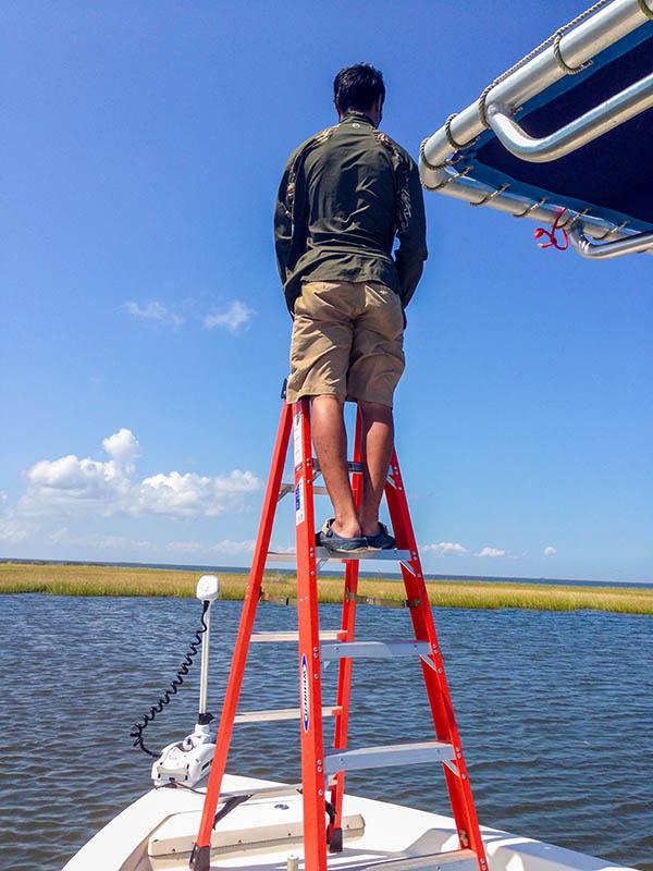 What is the Best Casting Platform Height? - Louisiana Fishing Blog
