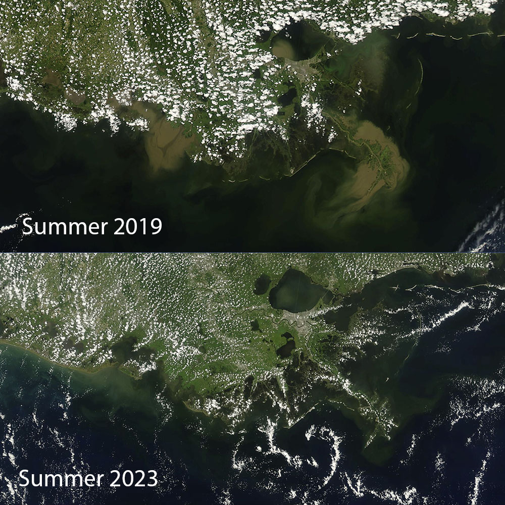 Summer 2019 vs 2023 MODIS freshening saltening mississippi river louisiana inshore fishing