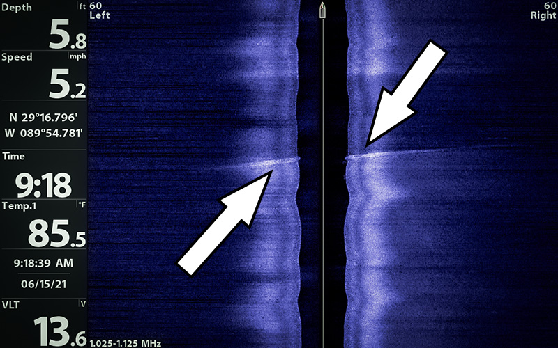 dredges pipe helix humminbird mega imaging