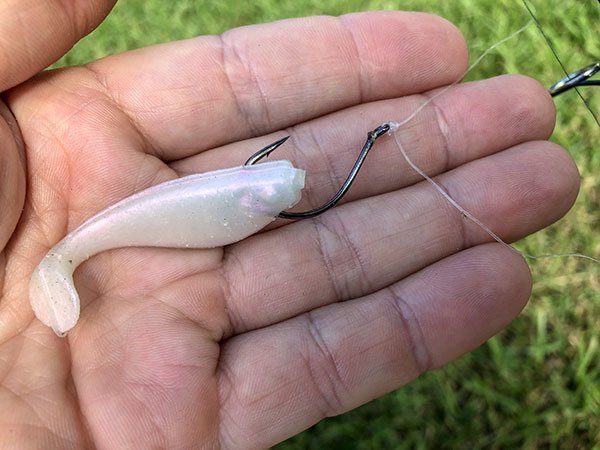 Top 3 Spring Lures For Speckled Trout (Plus A BONUS Lure)