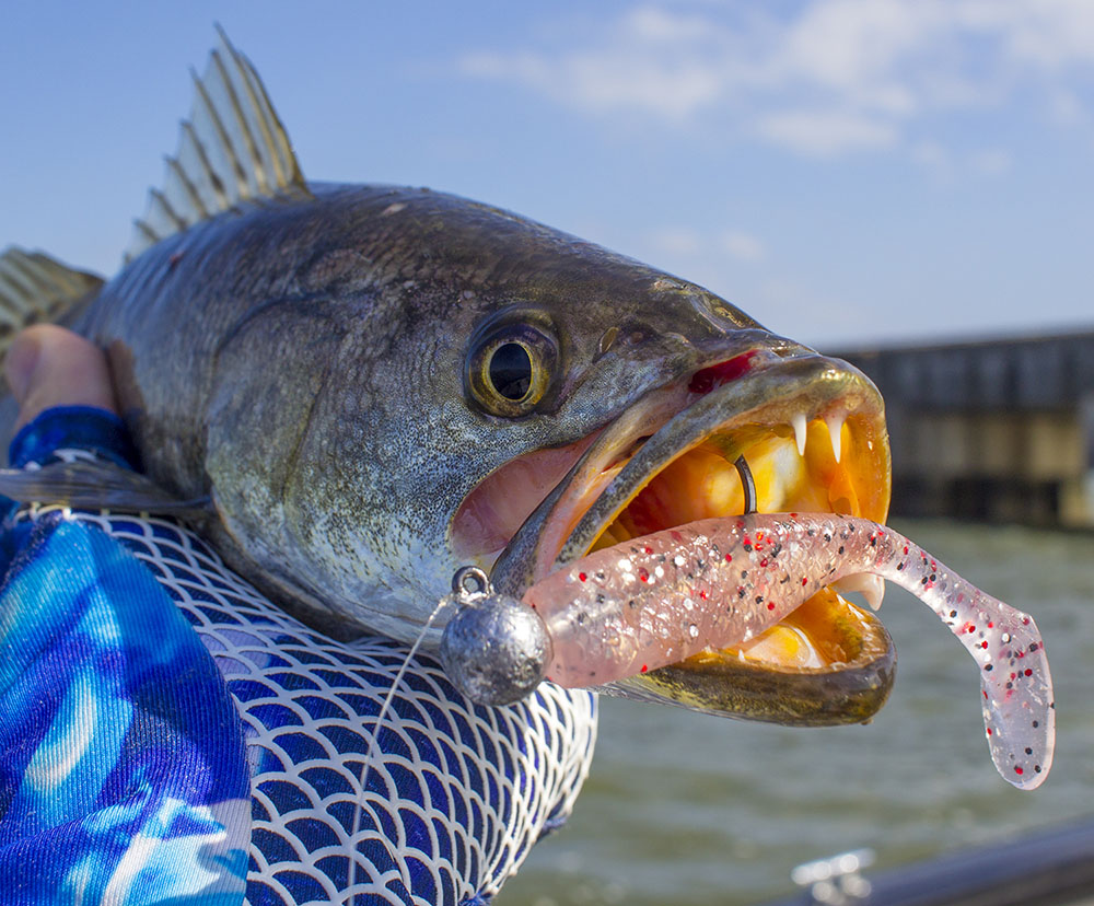 Devin's Ultimate Guide to Jigging Speckled Trout in Louisiana