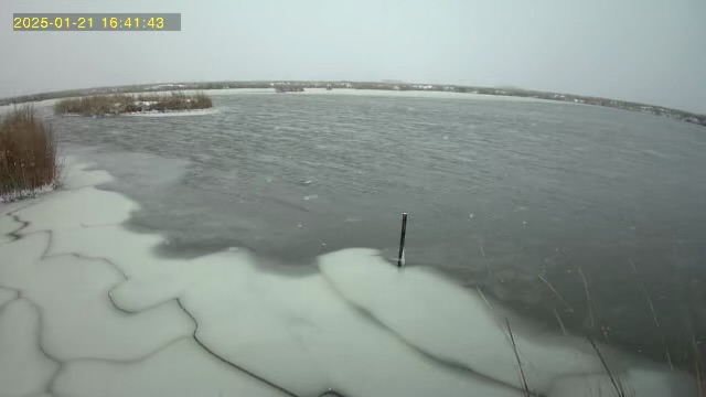 frozen louisiana marsh