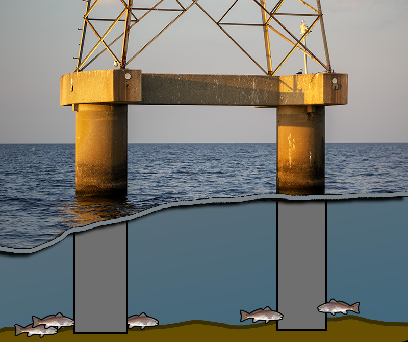 diagram of power line redfish on concrete pilings in lake pontchartrain