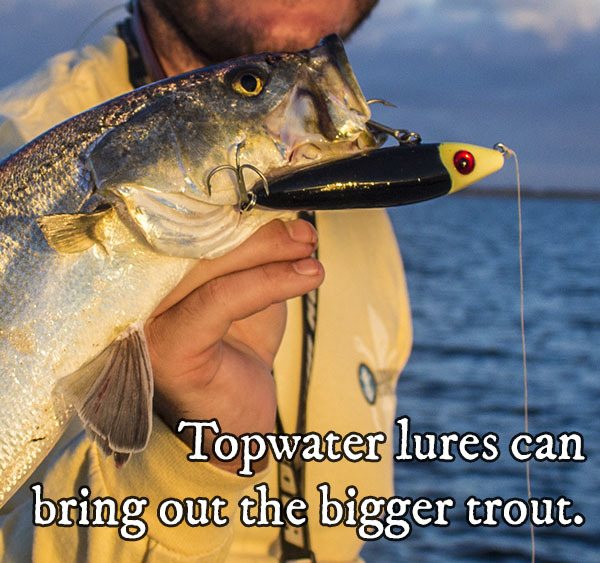 Spring Inshore Fishing: Top 2 Lures For Redfish, Trout & Snook