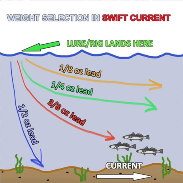 Carolina Rig Instructions For Speckled Trout, Redfish & Flounder