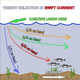 Carolina Rig Instructions For Speckled Trout, Redfish & Flounder