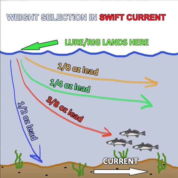 https://www.lafishblog.com/wp-content/uploads/weight-selection-swift-current.jpg